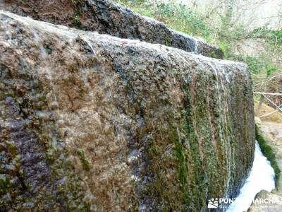 Parque Natural Monasterio de Piedra; rutas y viajes; campamentos de niños;viaje organizado a madrid